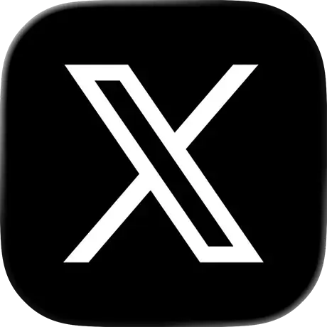 X icon